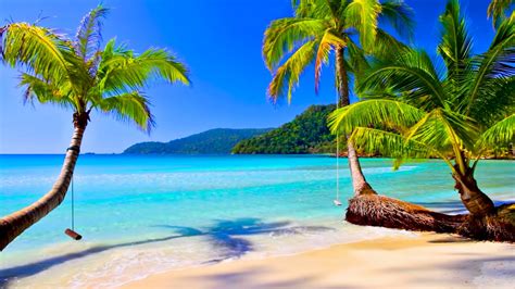4k UHD Tropical Beach Palm Trees On A Island Ocean Sounds Ocean