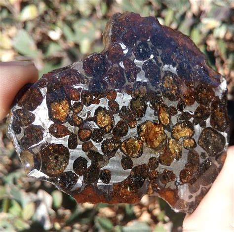 Slice Of Sericho Pallasite Stony Iron Meteorite 37 G Catawiki