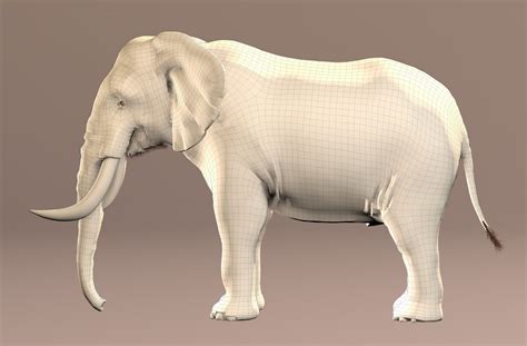 D Elephant Realistic Model Turbosquid