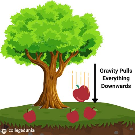 Gravitational Force Formula Definition And Solved Examples