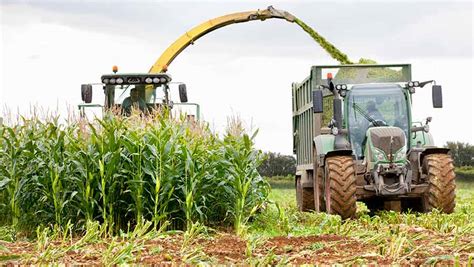 How Maize Growers Are Countering Critics With Good Husbandry Farmers
