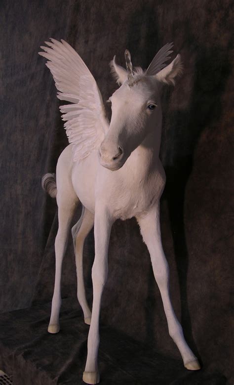 Pin By Skylar Zipp On Pegasus Baby Unicorn Unicorn Unicorn Lover