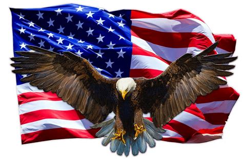 Soaring Bald Eagle American Flag Decal Is 6 In Size Ebay