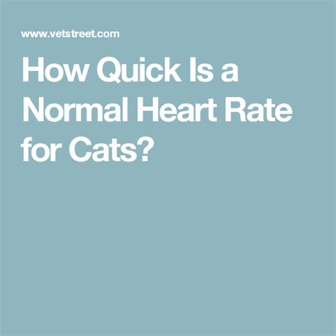 Marty becker explains how to check a cat's temperature, respiration and heart rate and explains what is normal and when you should worry. How Quick Is a Normal Heart Rate for Cats? | Normal heart ...