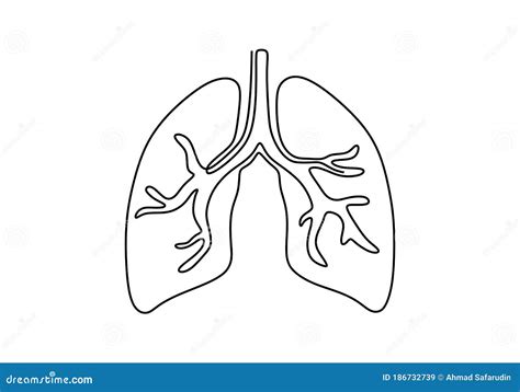 One Continuous Line Art Anatomical Human Lungs Lungs And Trachea