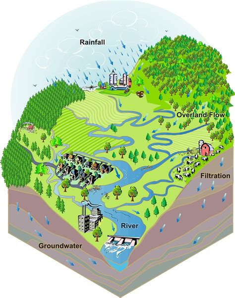 Frequently Asked Questions About Watershed Management