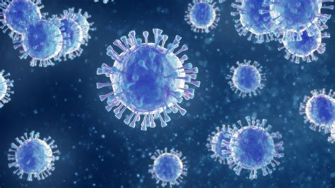 Coronavirus U M Experts Discuss University Of Michigan News