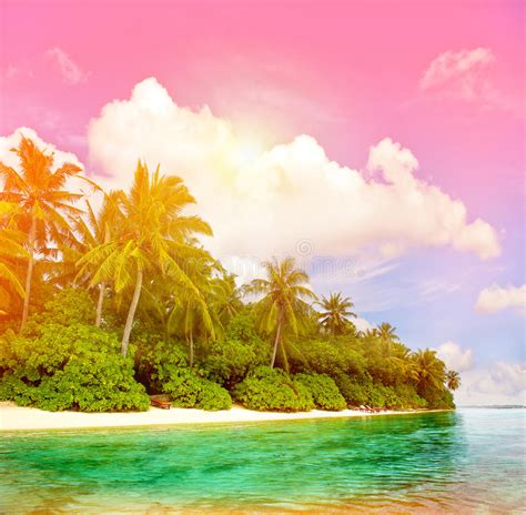 Tropical Island Beach With Colorful Sunset Sky Stock Image