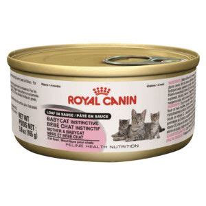 All of them have a high level of protein and other essential vitamins. Royal Canin® Babycat Whipped Mousse Kitten Food | Canned ...
