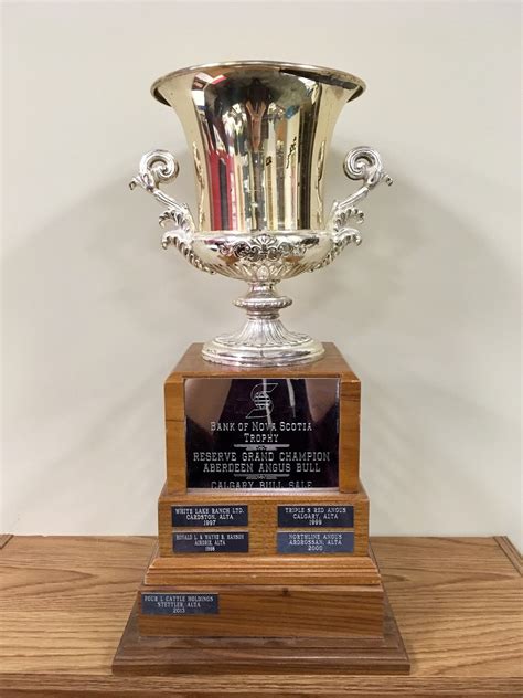 Canadian Angus Association Blog Calgary Bull Sale Trophies