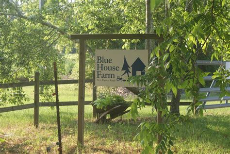 Blue House Farm
