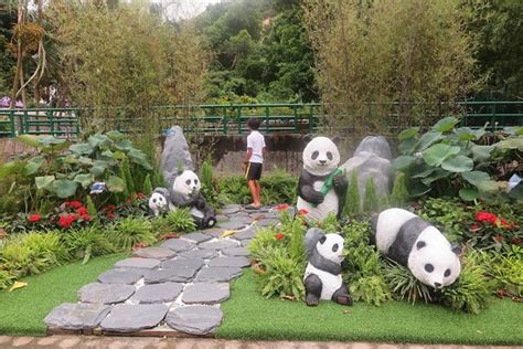 Macau Giant Panda Pavilion 2019 All You Need To Know Before You Go