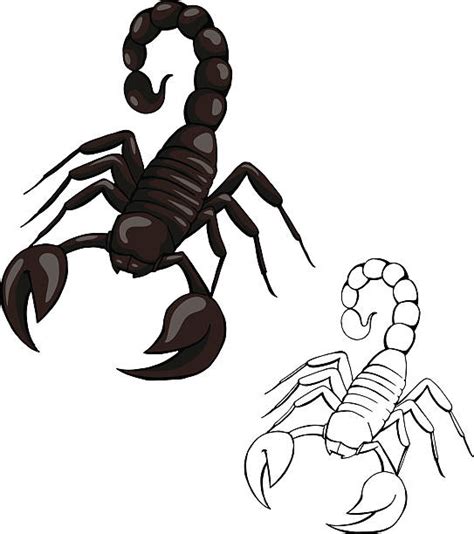Scorpion Illustrations Royalty Free Vector Graphics And Clip Art Istock