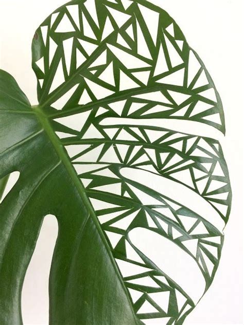 Mimousk: Leafcut art | Arrangements simples de fleurs, Arrangements ...