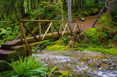 Siouxon Creek Hike Hiking In Portland Oregon And Washington