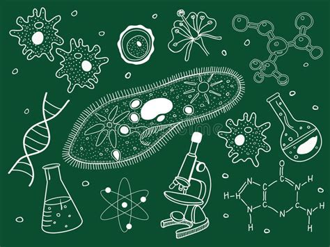 Biology Art Science Biology Teaching Science Biology Wallpaper