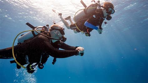 Professional Association Of Diving Instructors