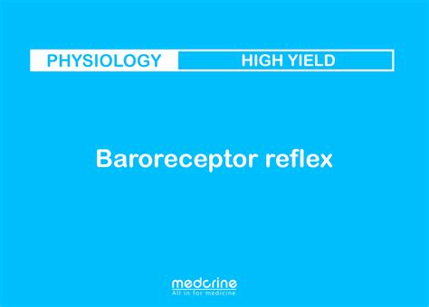 Baroreceptor Reflex Physiology Medcrine