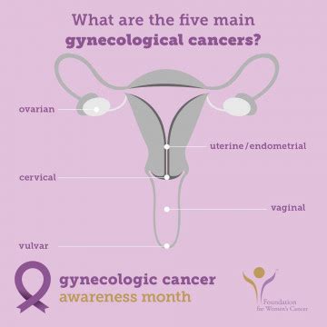 Vulvar Cancer Cancer Health