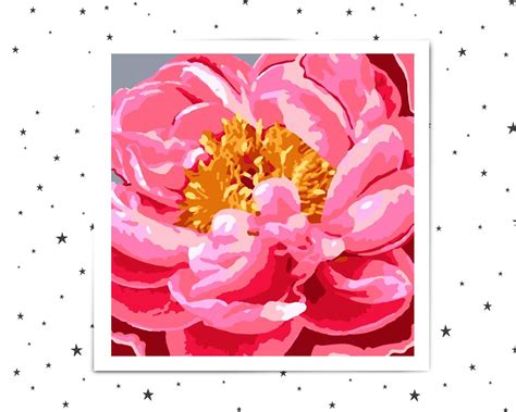 Peony Paint By Numbers For Adults Pink Peonies Flower Etsy Peony