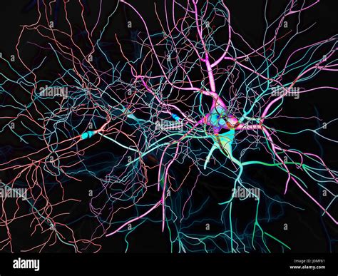 Brain Neurons Synapses Neural Network Circuit Of Neurons Stock Photo