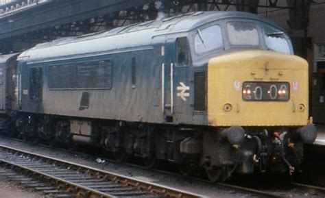 Class 46 Peak Profile And Models Hattons Model Railways