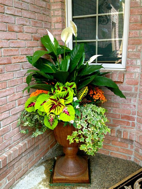 Container Garden Design Container Gardening