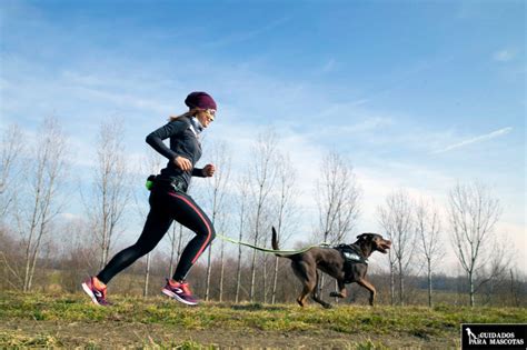 Salir A Correr Con Tu Perro Cinco Consejos Imprescindibles