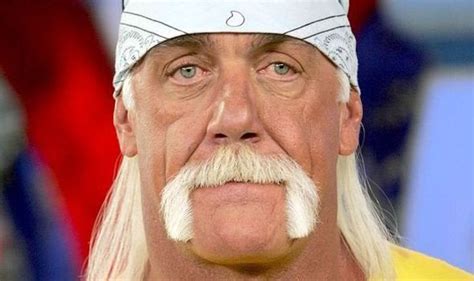 Question About Hulk Hogans Mustache Squaredcircle