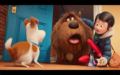 The Secret Life of Pets Movie Review: Furry Frenetic Fun | Reston, VA Patch