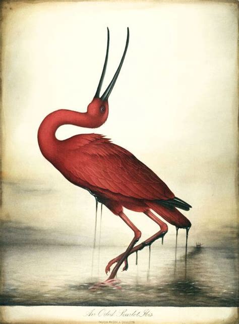 The Scarlet Ibis Short Story By James Hurst It Was In The