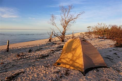 Camping In Everglades National Park Vanlife On News Collection
