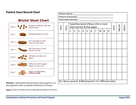 Printable Bristol Stool Chart Printable Templates