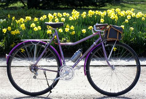 Trotz der einfachheit bieten fahrräder eine menge variation. Fahrrad Neu Lackieren - Tierische Tapete