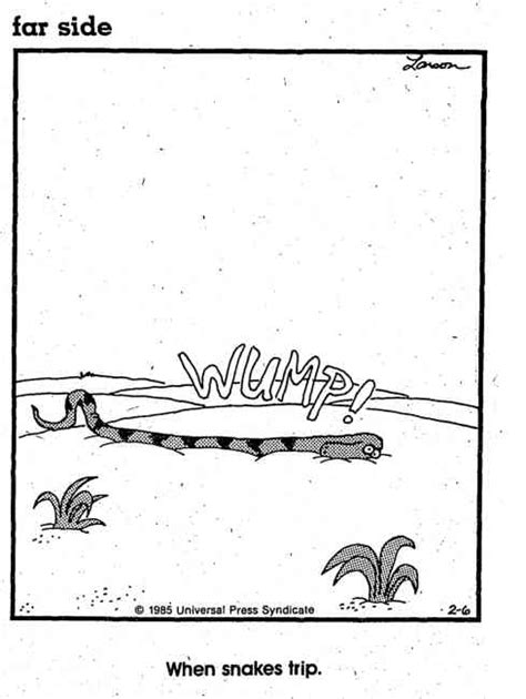 From The Far Side Comic Rsnakes