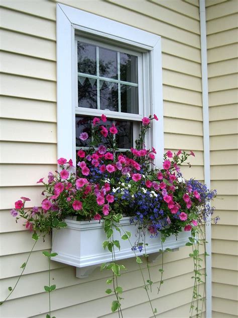 Window boxes are one of the best planter box ideas when you live in a small space. Stunning 30+ Awesome Flowering Window Boxes Ideas https ...