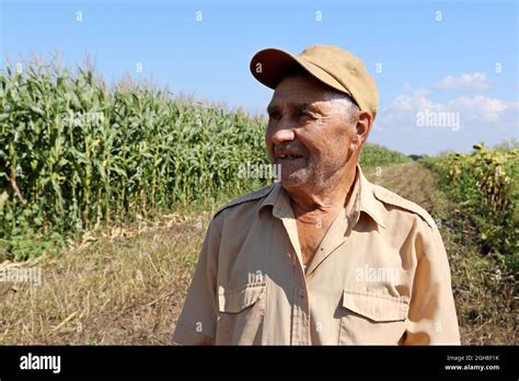 Work At Farm Hi Res Stock Photography And Images Alamy