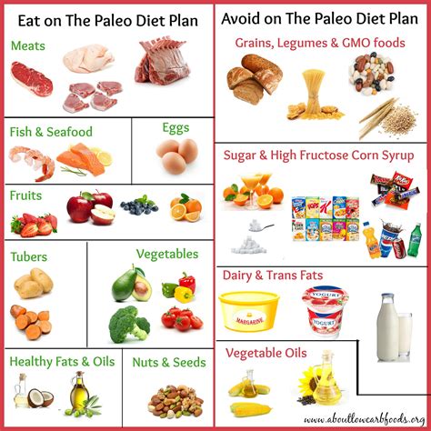 Paleo Diet Meal Plan Why Its So Popular About Low Carb Foods
