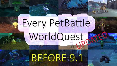Every Pet Battle WQ Guide For Shadowlands With Easy To Obtain Pets
