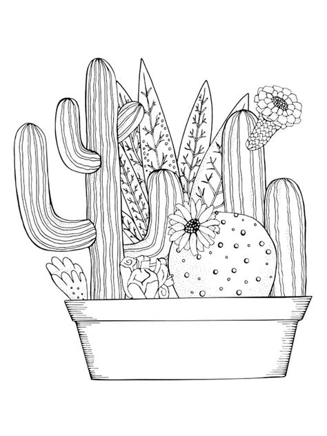 Ausmalbilder Kaktus 100 Malvorlagen Zum Ausdrucken