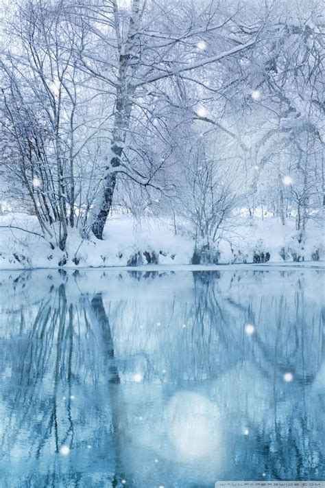 Winter Wallpapers Hd Desktop Backgrounds Images And