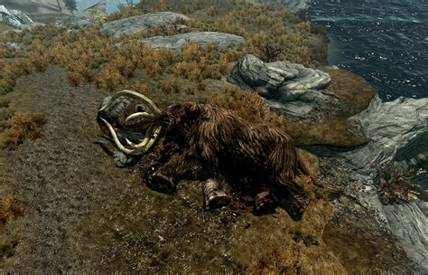 Dead Mammoth Elder Scrolls Fandom Powered By Wikia