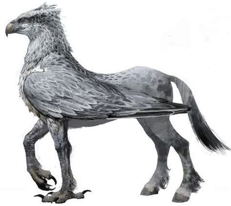 Hippogriff By Grey Harry Potter Creatures Harry Potter Art Harry