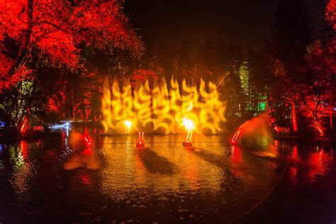 Last Few Tickets Remaining As Enchanted Forest Proves To Be Most