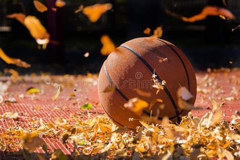 Basketball In Autumn Stock Photo Image Of Court Ball 76684414