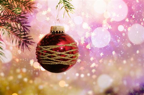 무료 이미지 크리스마스 장식 전나무 가문비 크리스마스 트리 크리스마스 이브 구과 식물 분기 소나무 가족 상록수
