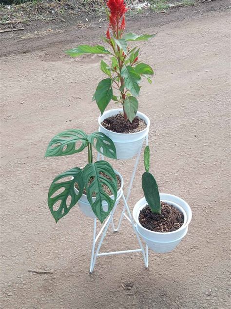 rak bunga rak bunga besi rak murah rak minimalis rak serbaguna rak