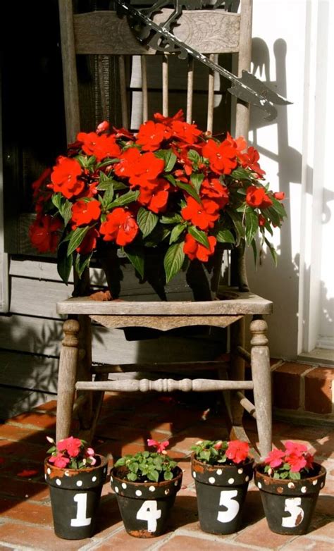 We did not find results for: 29 Best Front Door Flower Pots Ideas and Designs for 2018