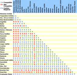 Freshwater Fish Compatibility Chart: Avoid Incompatible Species