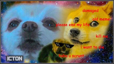 Doge Meme Wallpaper 85 Images